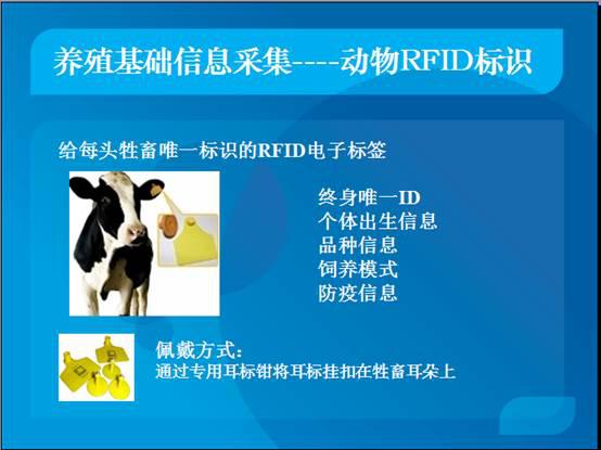 RFID动物溯源管理系统