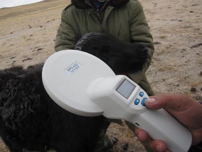 20121126211937428.jpg 图5 芯片成功扫描,芯片植入成功